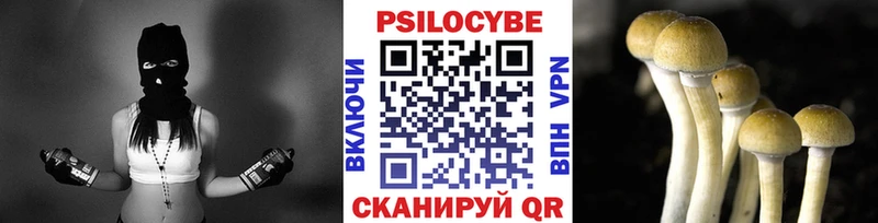 Галлюциногенные грибы Psilocybe  сколько стоит  Королёв 